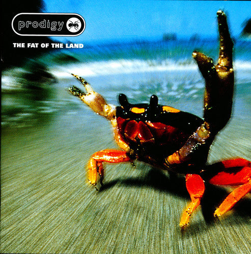 Prodigy: The Fat Of The Land [ Record ]