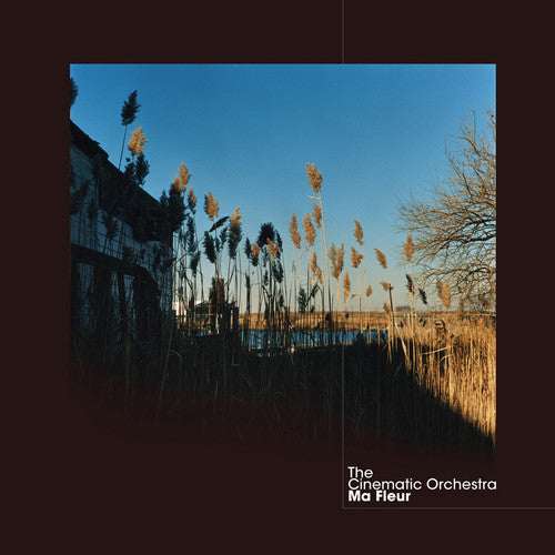 The Cinematic Orchestra: Ma Fleur [ Record ]