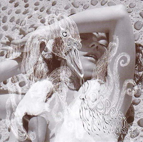 Bjork: Vespertine [ Record ]
