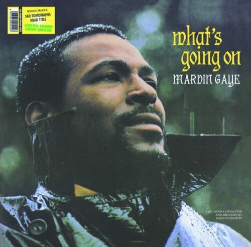 Marvin Gaye: What's Going on [ Record ]