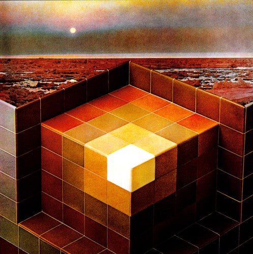 Black Mountain: In the Future [ Record ]