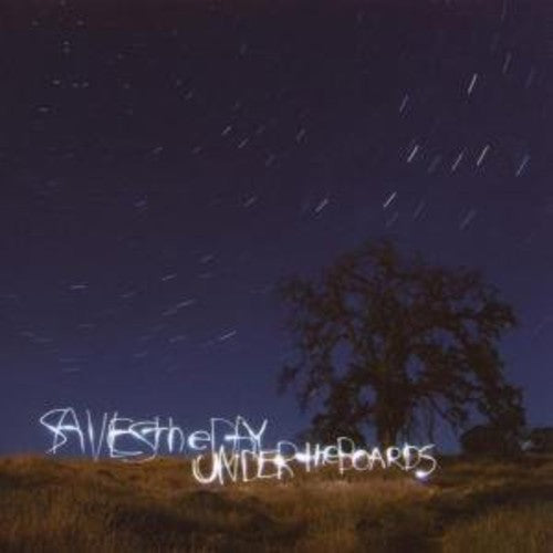 Saves the Day: Under the Boards [ Record ]