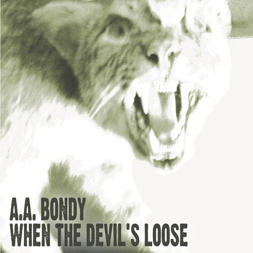 A.A. Bondy: When the Devil's Loose [ Record ]