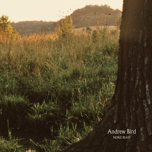 Andrew Bird: Noble Beast [ Record ]