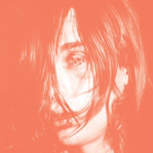Deerhunter: Microcastle [ Record ]