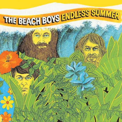 The Beach Boys: Endless Summer [ Record ]