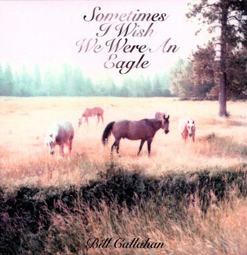 Bill Callahan: Sometimes I Wish We Were An Eagle [ Record ]