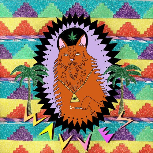 Wavves: King of the Beach [ Record ]