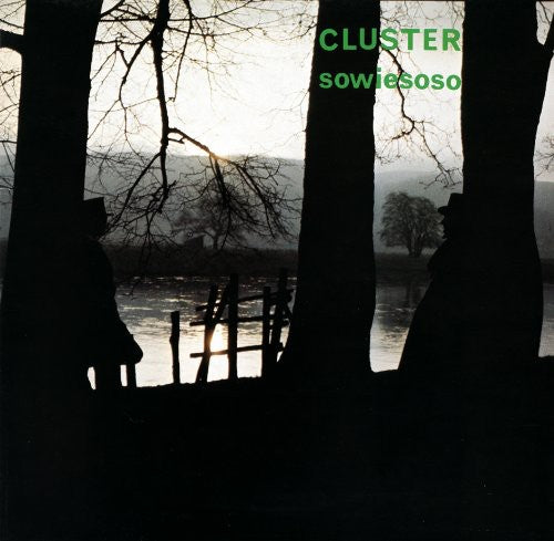 Cluster: Sowiesoso [ Record ]