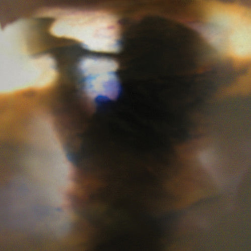 Animal Collective: Fall Be Kind [ Record ]