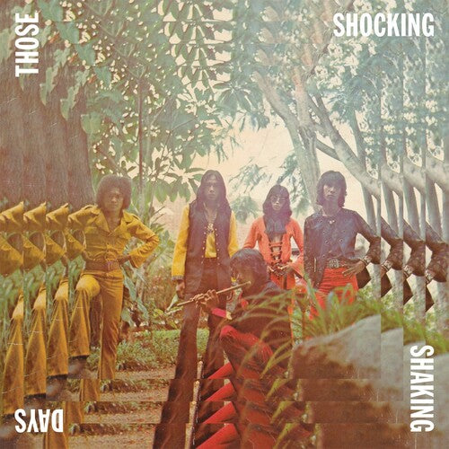 Various Artists: Those Shocking Shaking Days [ Record ]