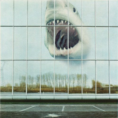 Black Mountain: Wilderness Heart [ Record ]