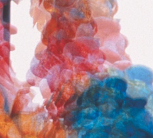 Dungen: Skit I Allt [ Record ]