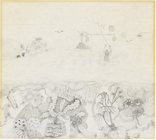 Robert Wyatt: Rock Bottom [ Record ]