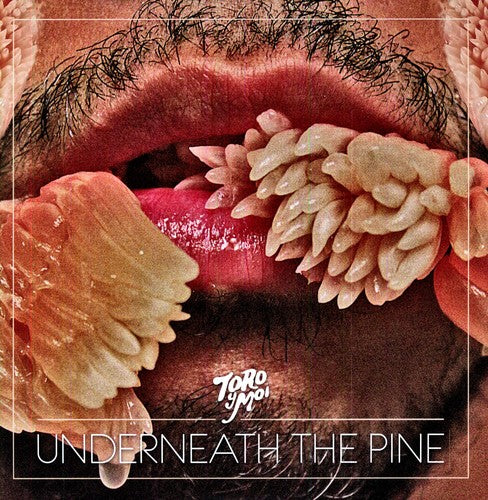 Toro y Moi: Underneath the Pine [ Record ]