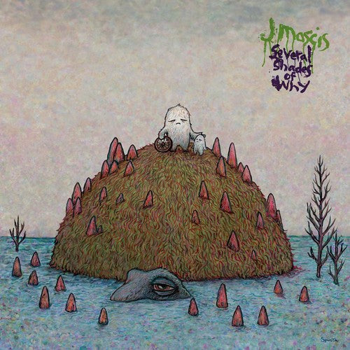 J Mascis: Several Shades of Why [ Record ]