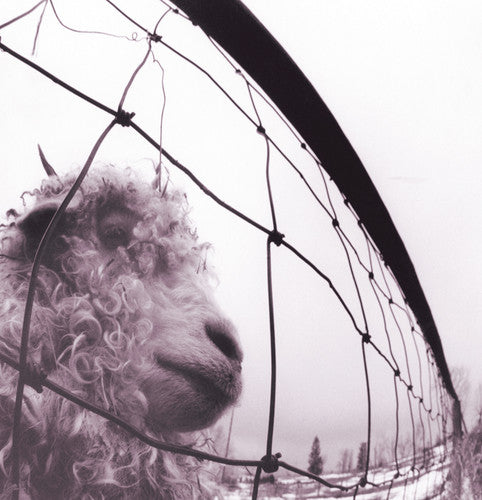 Pearl Jam: PEARL JAM / VS [ Record ]