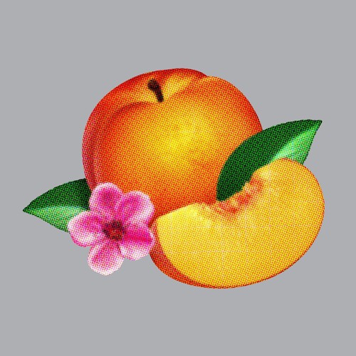 Phoenix: Bankrupt [ Record ]