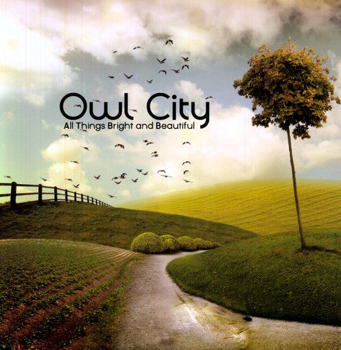 Owl City: All Things Bright and Beautiful [ Record ]