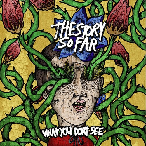 The Story So Far: What You Don't See [ Record ]