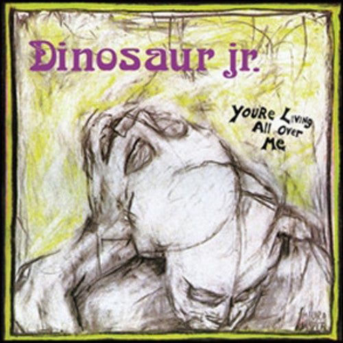 Dinosaur Jr.: You're Living All Over Me [ Record ]