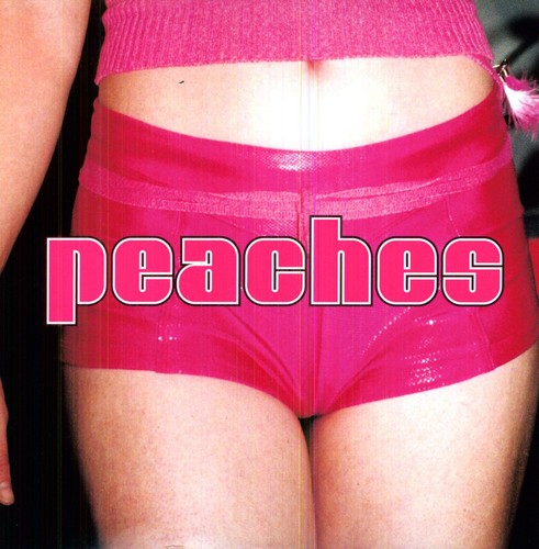 Peaches: The Teaches Of Peaches [ Record ]
