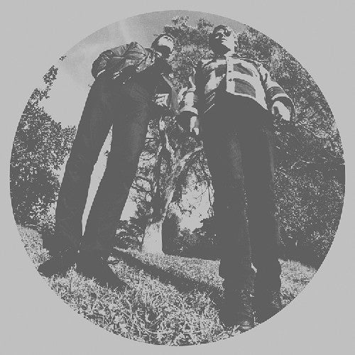Ty Segall: Hair [ Record ]