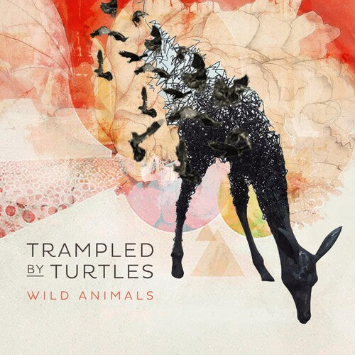 Trampled by Turtles: Wild Animals [ Record ]