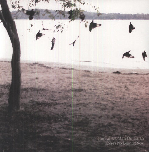 The Tallest Man on Earth: There's No Leaving Now [ Record ]