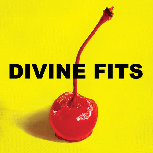 Divine Fits: A Thing Called Divine Fits [ Record ]