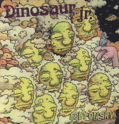 Dinosaur Jr.: I Bet on Sky [ Record ]