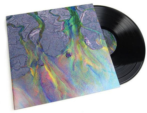 Alt-J: An Awesome Wave [ Record ]