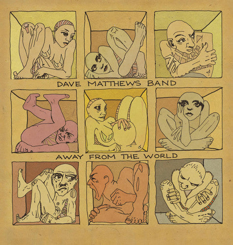 Dave Matthews: Away from the World [ Record ]