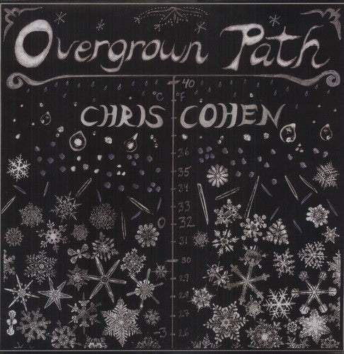Chris Cohen: Overgrown Path [ Record ]