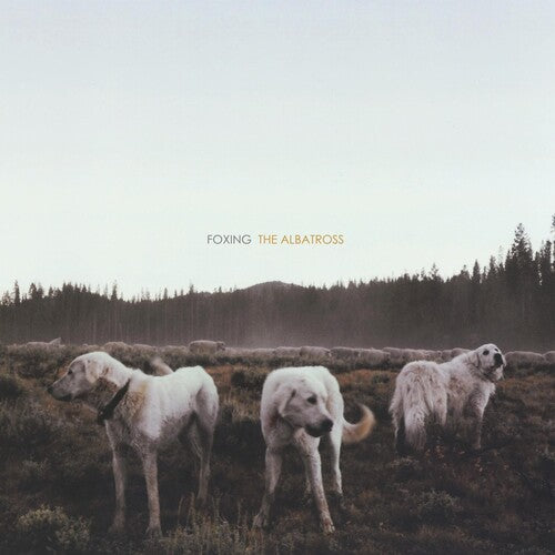 Foxing: Albatross [ Record ]