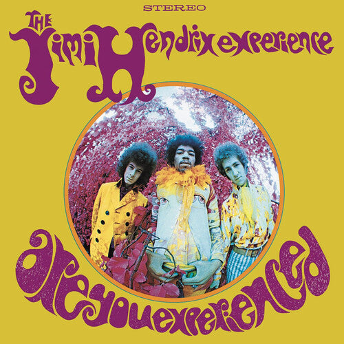 Jimi Hendrix: Are You Experienced [ Record ]