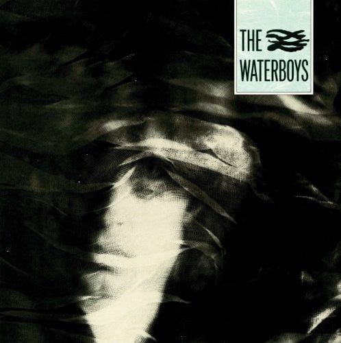 The Waterboys: Waterboys [ Record ]