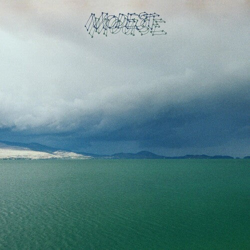 Modest Mouse: Fruit That Ate Itself [ Record ]
