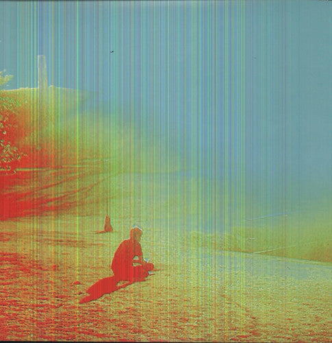 The Flaming Lips: The Terror [ Record ]