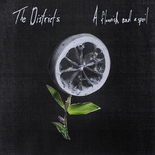 The Districts: Flourish and a Spoil [ Record ]
