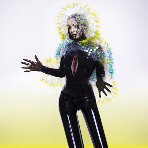 Bjork: Vulnicura [ Record ]