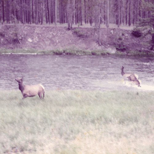 Seahaven: Ghost + Acoustic Sessions [ Record ]