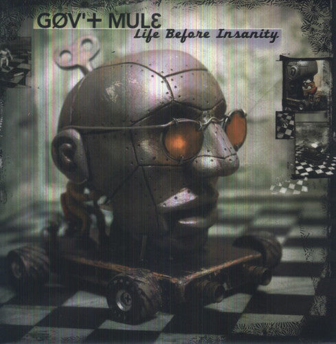 Gov't Mule: Life Before Insanity [ Record ]