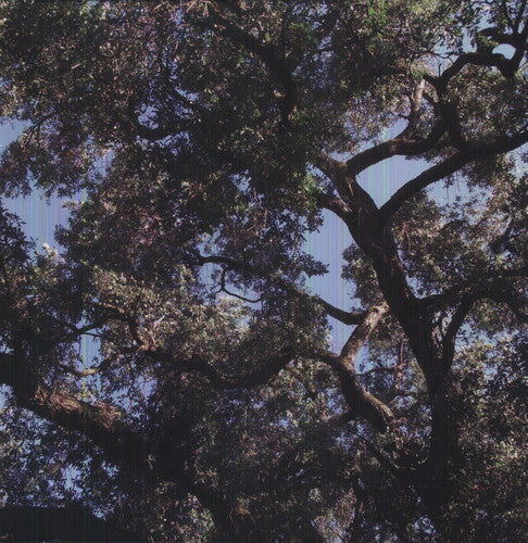 Charles Manson: Trees [ Record ]