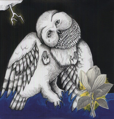 Songs: Ohia: Magnolia Electric Company Co [ Record ]