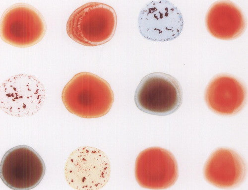 Peter Gabriel: Scratch My Back & I'll Scratch Yours [ Record ]