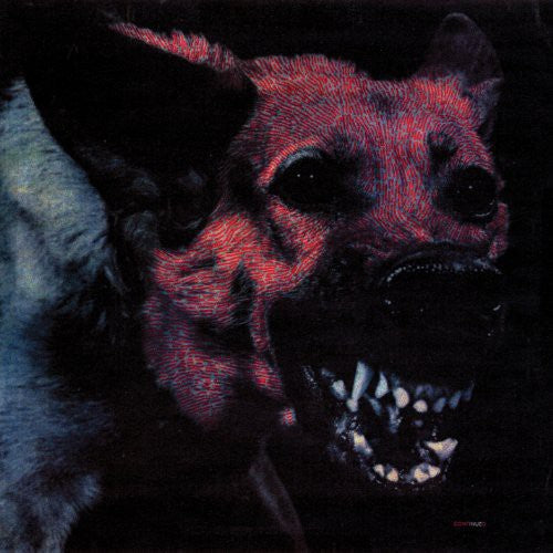 Protomartyr: Under Color of Official Right [ Record ]