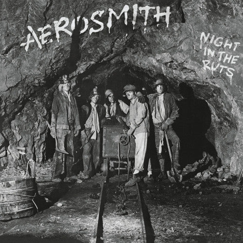 Aerosmith: Night in the Ruts [ Record ]