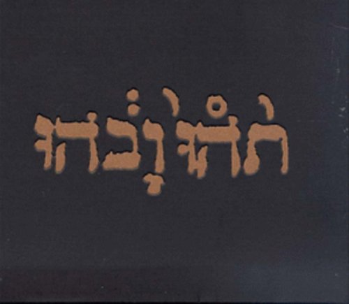 Godspeed You! Black Emperor: Slow Riot for New Zero Kanada [ Record ]