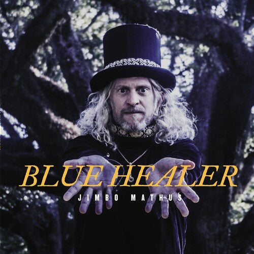 Jimbo Mathus: Blue Healer [ Record ]